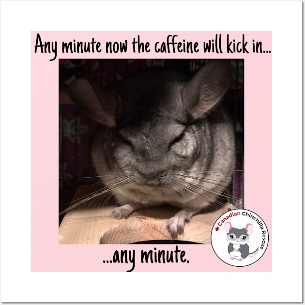 Chinchilla Thoughts Wall Art by canchinrescue